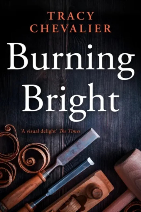 Omslag: Burning Bright