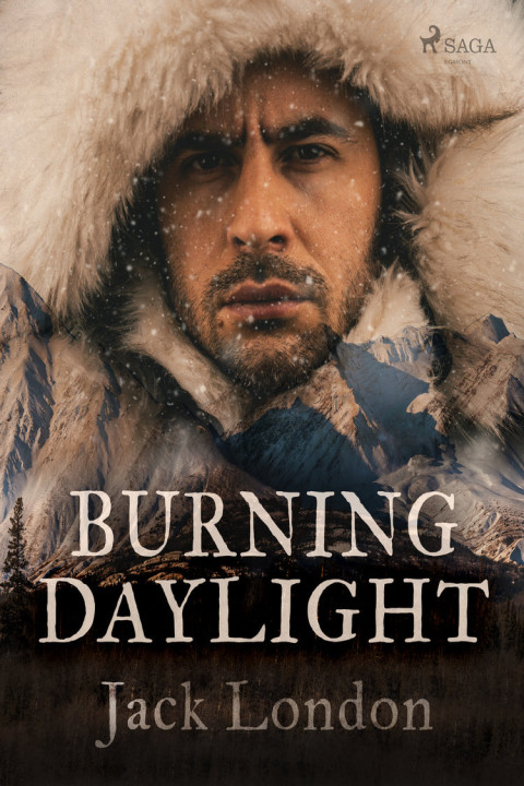 Omslag: Burning Daylight