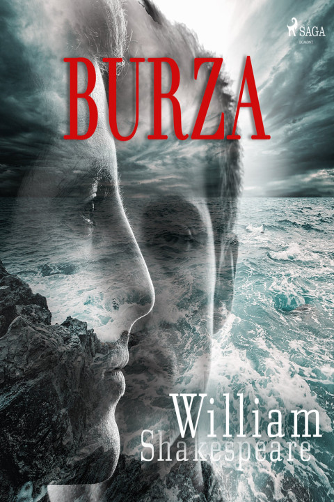 Omslag: Burza