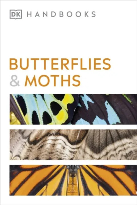 Omslag: Butterflies and Moths