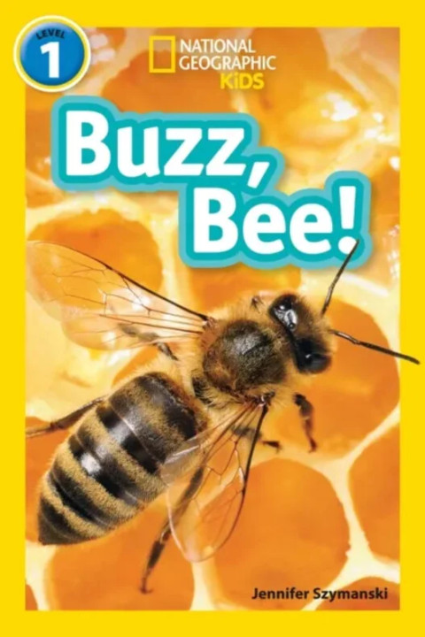 Omslag: Buzz, Bee! - Level 1
