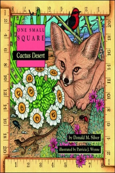 Omslag: Cactus Desert