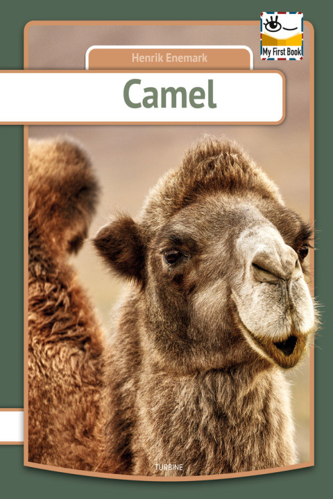 Omslag: Camel