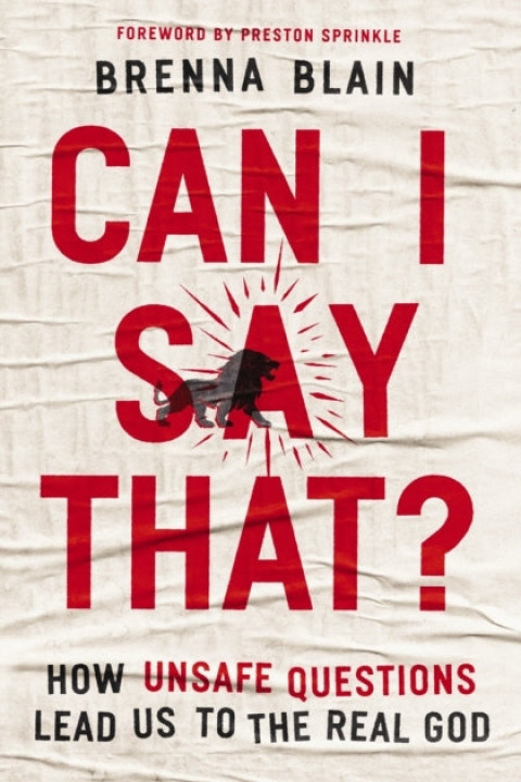 Omslag: Can I Say That?