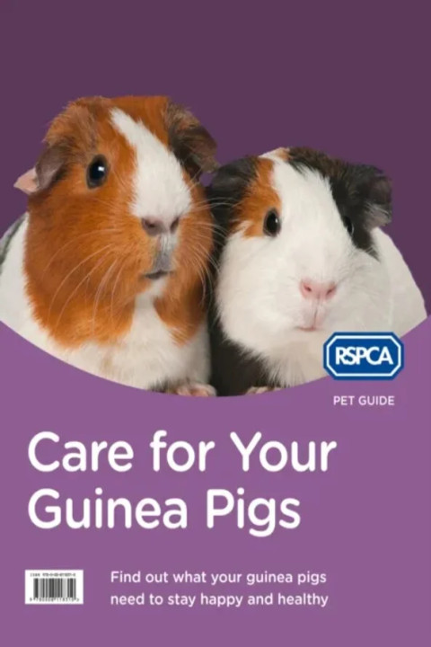 Omslag: Care for Your Guinea Pigs