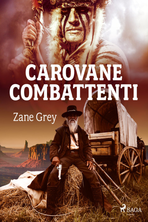 Omslag: Carovane combattenti