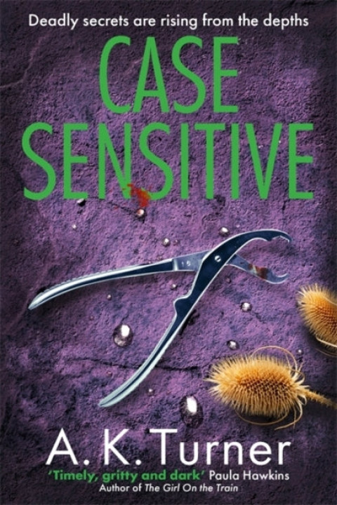 Omslag: Case Sensitive