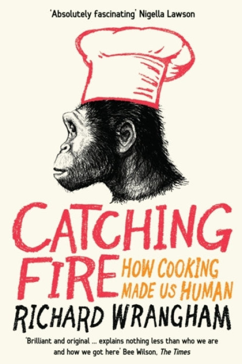 Omslag: Catching Fire