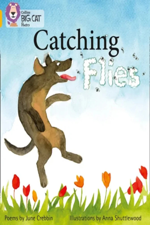 Omslag: Catching Flies - Band 09/Gold