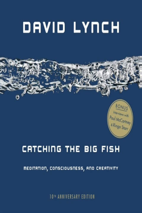 Omslag: Catching the Big Fish