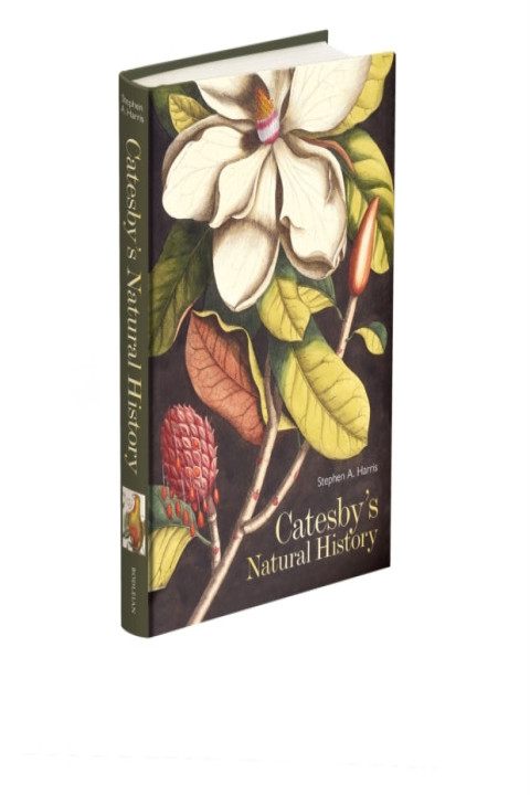Omslag: Catesby s Natural History