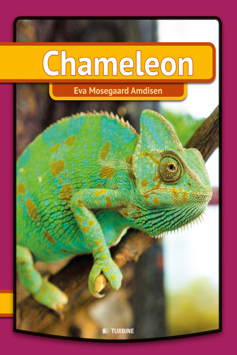 Omslag: Chameleon