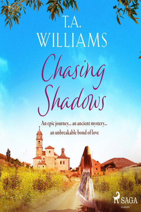 Omslag: Chasing Shadows