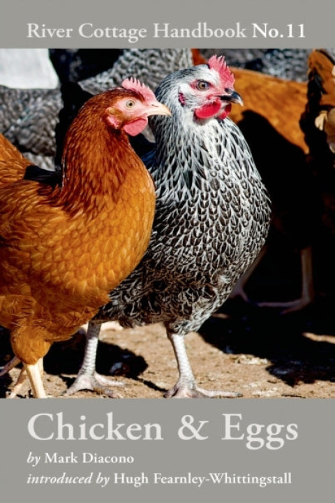 Omslag: Chicken & Eggs