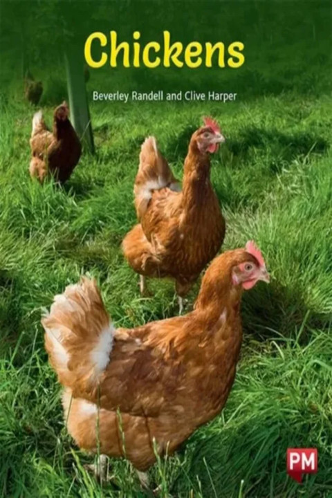 Omslag: CHICKENS