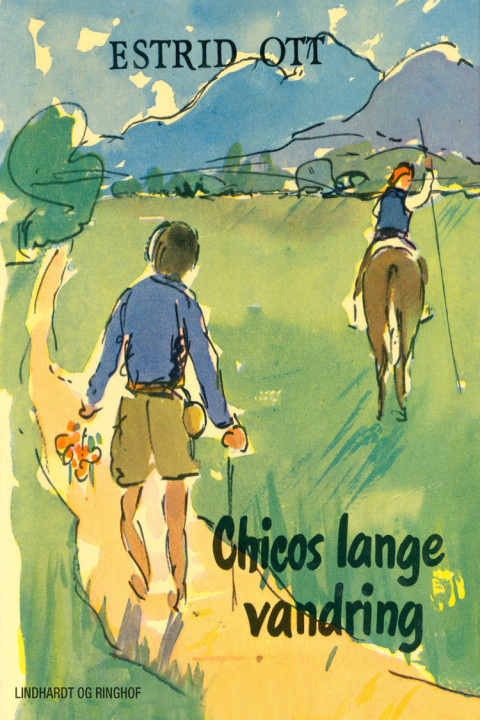 Omslag: Chicos lange vandring