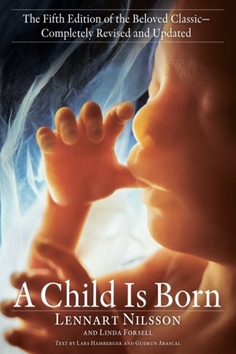 Omslag: Child Is Born