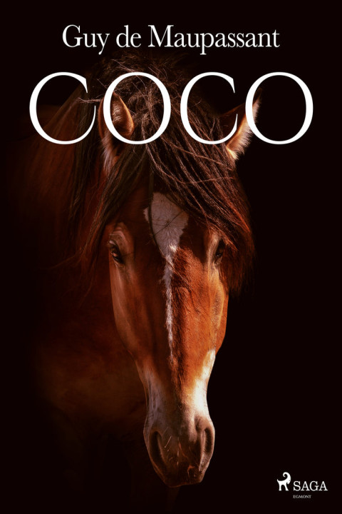 Omslag: Coco