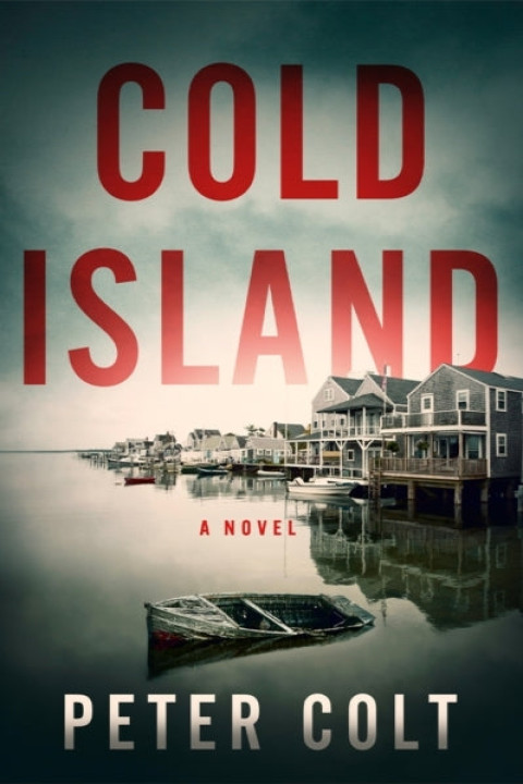 Omslag: Cold Island