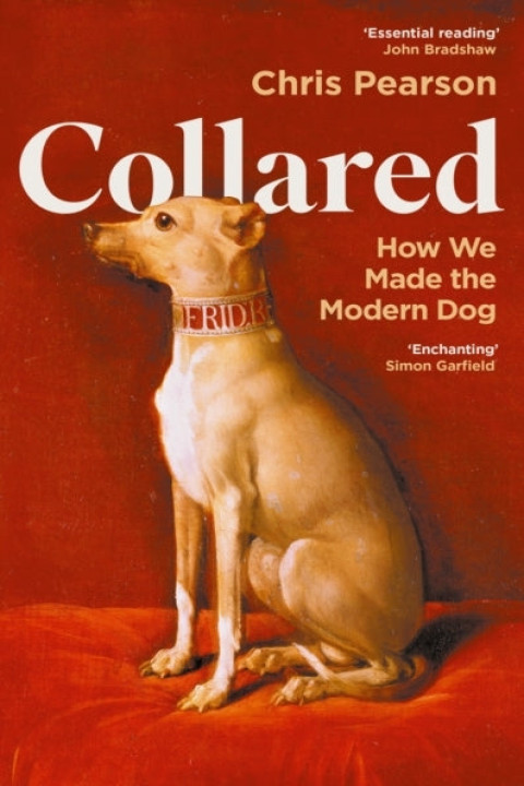 Omslag: Collaredhow We Made The Modern Dog