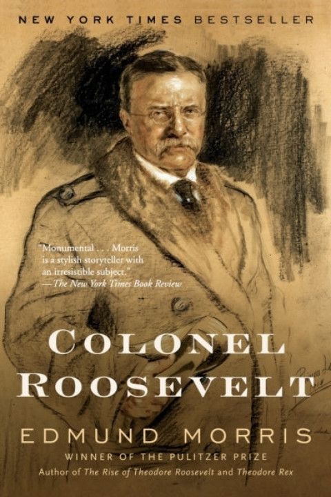 Omslag: Colonel Roosevelt