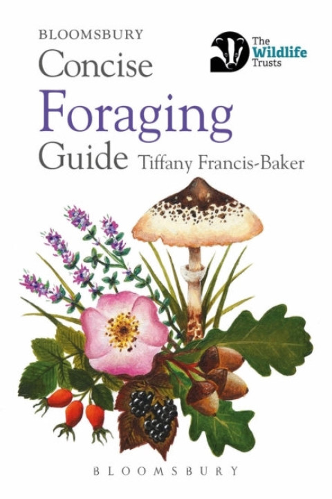 Omslag: Concise Foraging Guide