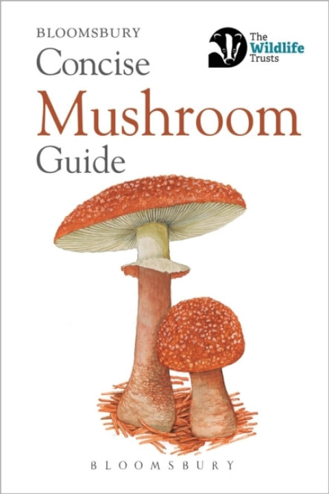 Omslag: Concise Mushroom Guide