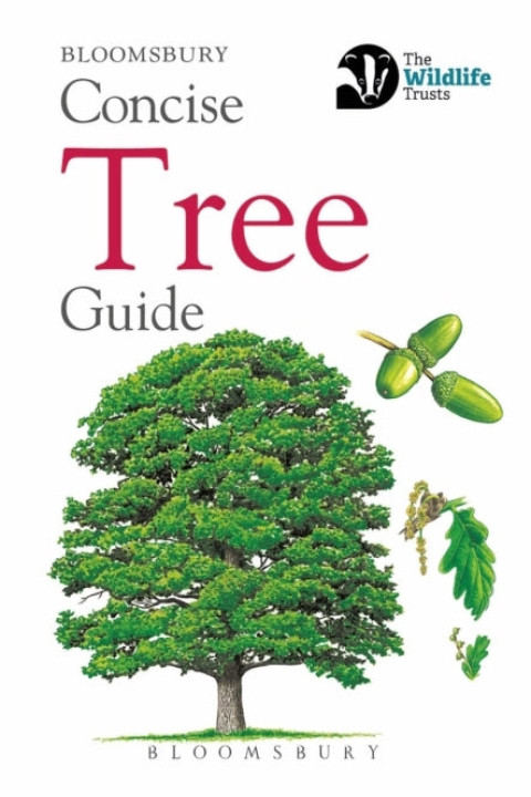 Omslag: Concise Tree Guide