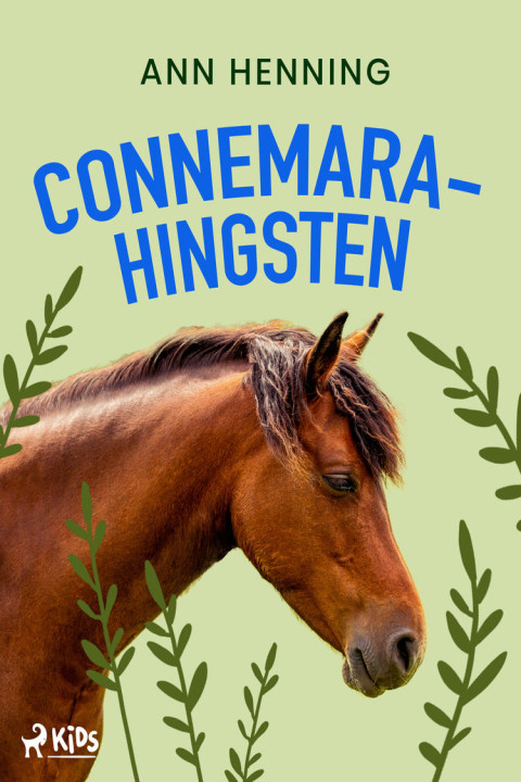 Omslag: Connemarahingsten