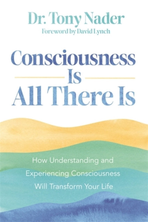 Omslag: Consciousness Is All There Is