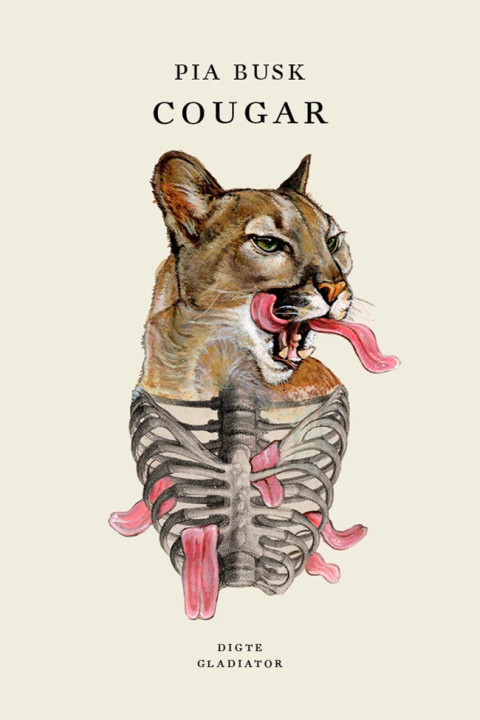 Omslag: Cougar