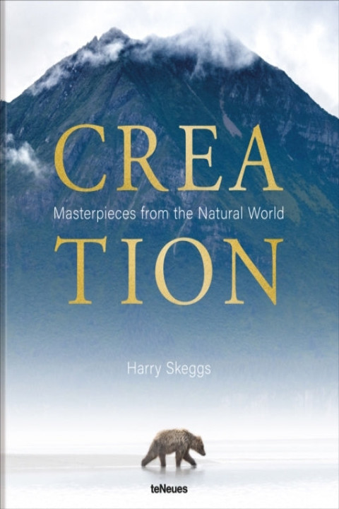 Omslag: Creation