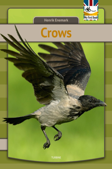 Omslag: Crows