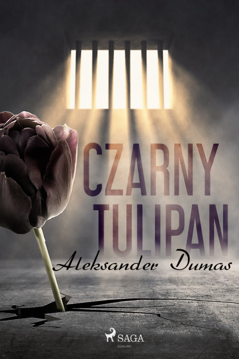 Omslag: Czarny tulipan