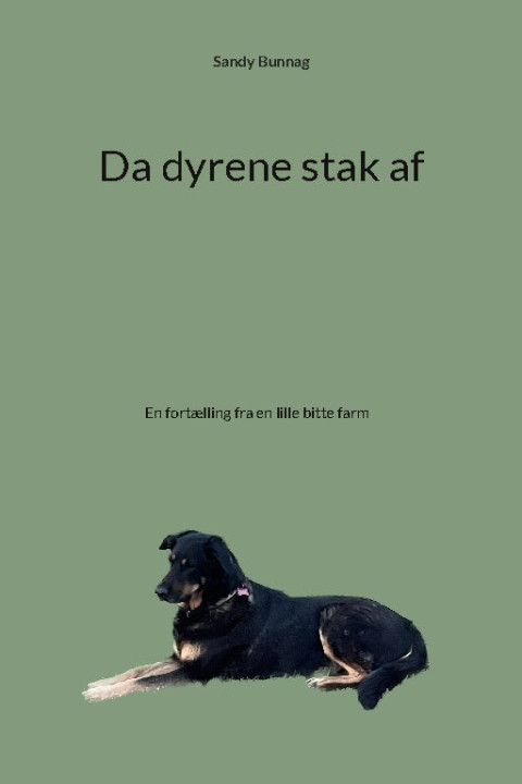 Omslag: Da dyrene stak af
