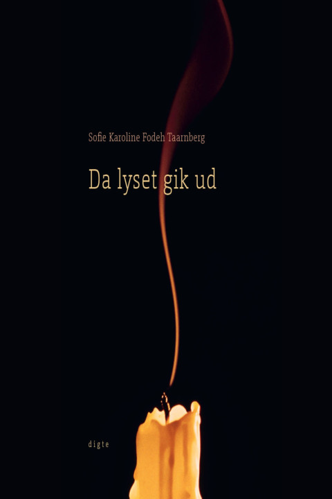 Omslag: Da lyset gik ud