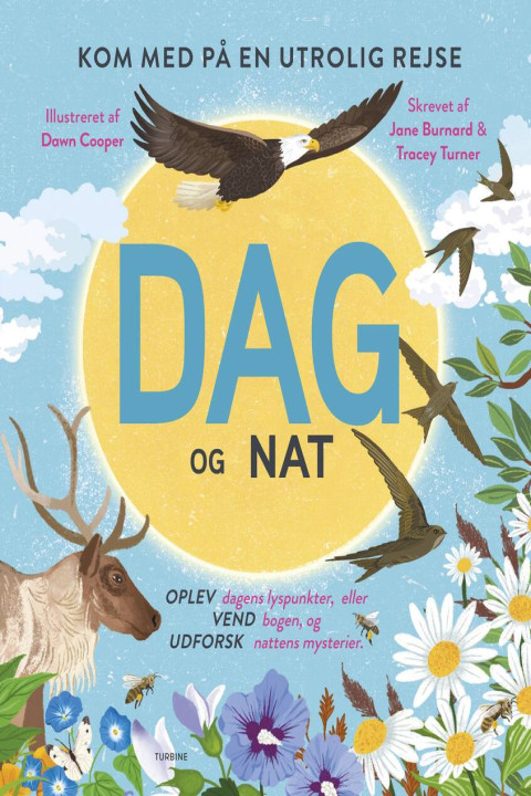 Omslag: Dag og nat