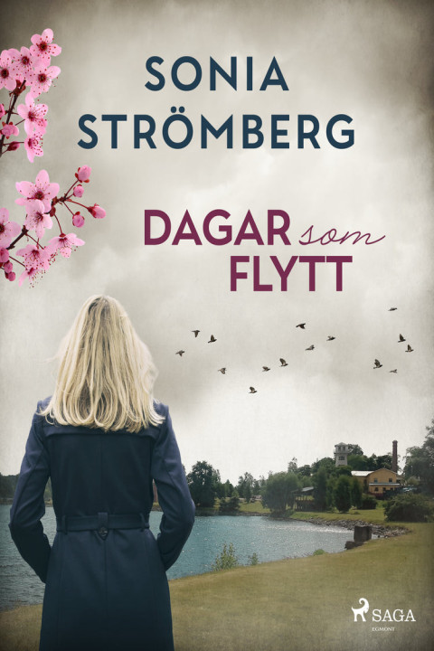 Omslag: Dagar som flytt