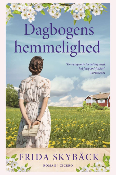 Omslag: Dagbogens hemmelighed