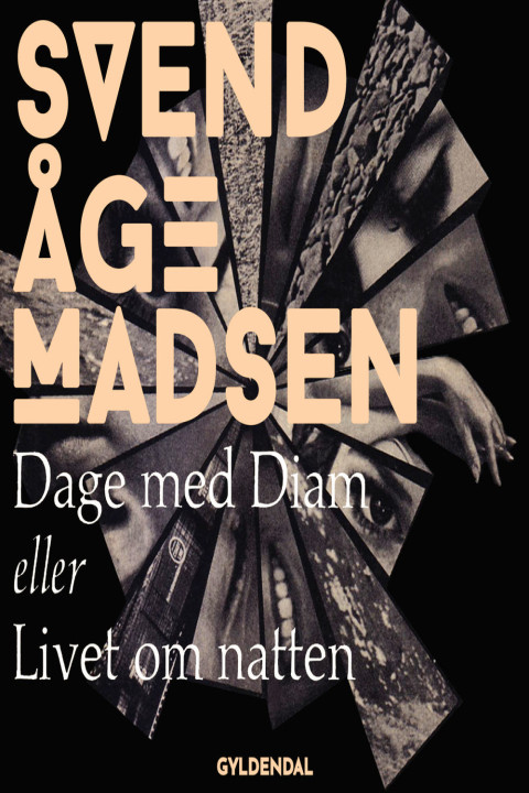 Omslag: Dage med Diam