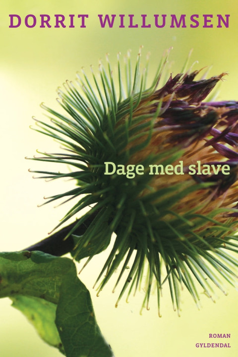 Omslag: Dage med slave
