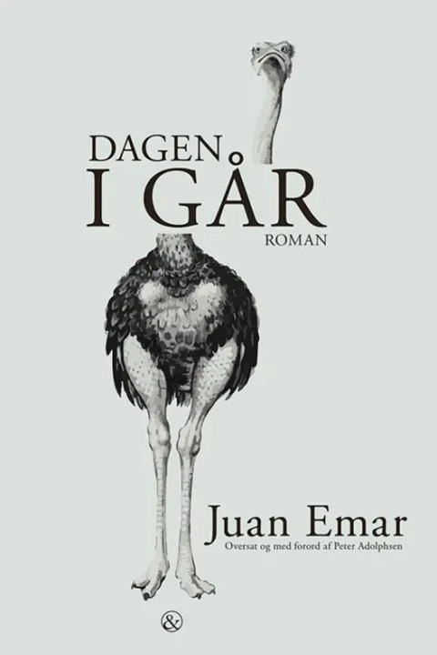 Omslag: Dagen i går