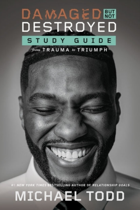 Omslag: Damaged but Not Destroyed Study Guide