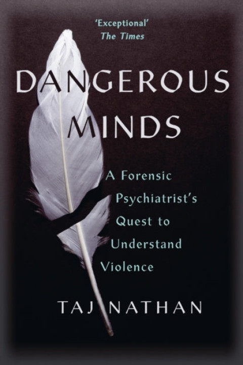 Omslag: Dangerous Minds