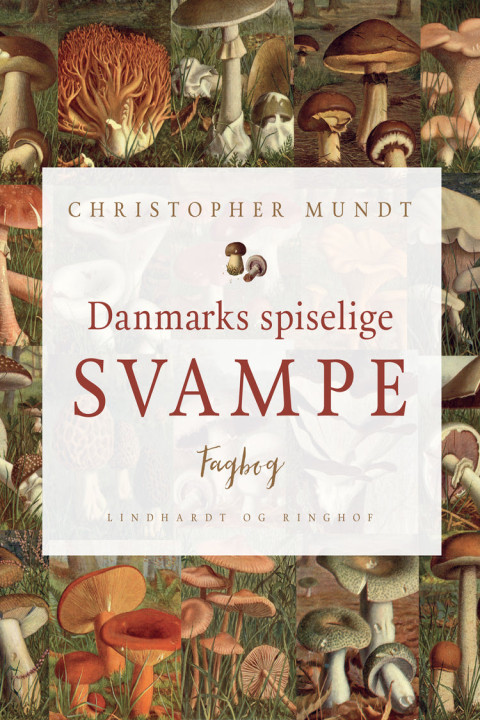 Omslag: Danmarks spiselige svampe