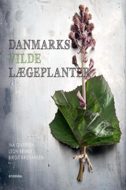 Omslag: Danmarks vilde lægeplanter