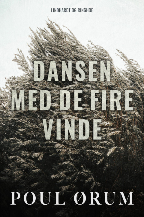 Omslag: Dansen med de fire vinde