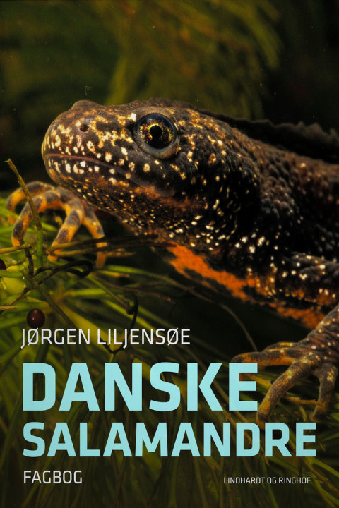 Omslag: Danske salamandre