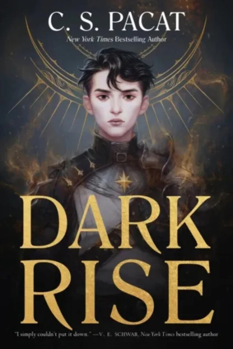 Omslag: Dark Rise
