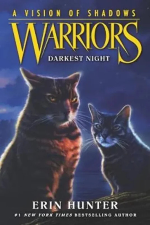 Omslag: Darkest Night